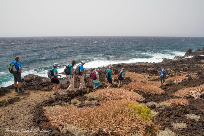 Piso Nuevo En El Puertito De Gueimar Al Lado Del Mar Realizamos Servicio De Excursiones Con Guia Puertito de Guimar Exterior foto